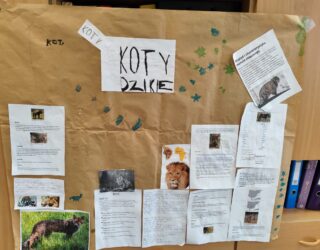 “DZIKIE KOTY” – ZAJĘCIA Z WYKORZYSTANIEM  METODY PROJEKTU W KLASIE 1A