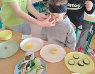 ZADANIE W RAMACH PROJEKTU EDUKACYJNEGO „GRAMY ZMYSŁAMI” W II GRUPIE ŚWIETLICOWEJ