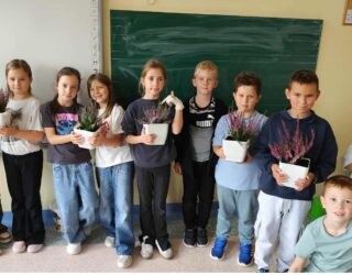 SADZENIE WRZOSÓW W ŚWIETLICY SZKOLNEJ